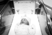 Riley Kirkland's Arrival